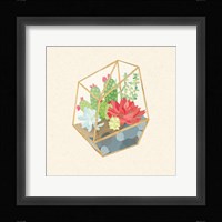 Succulent Terrarium IV Framed Print