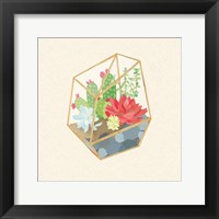 Succulent Terrarium IV Framed Print