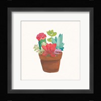 Succulent Terrarium VIII Framed Print