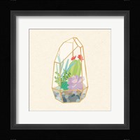 Succulent Terrarium VI Framed Print