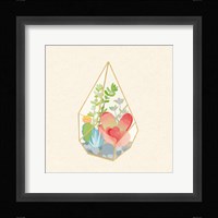 Succulent Terrarium VII Framed Print