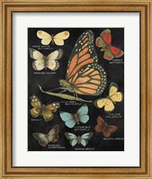Botanical Butterflies Postcard II Black Fine Art Print