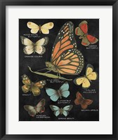 Botanical Butterflies Postcard II Black Fine Art Print