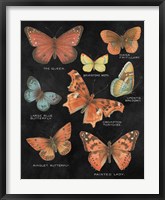 Botanical Butterflies Postcard IV Black Fine Art Print