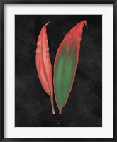 Beautiful Leaved Plants II Black Fine Art Print