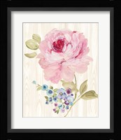 Driftwood Garden VI Framed Print