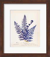 Botanical Fern IV Blue Fine Art Print