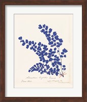Botanical Fern III Blue Fine Art Print