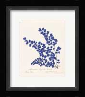 Botanical Fern III Blue Framed Print