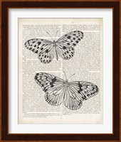 Vintage Butterflies on Newsprint Fine Art Print