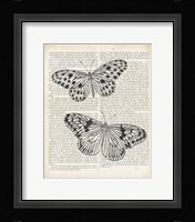 Vintage Butterflies on Newsprint Fine Art Print