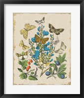 Butterfly Bouquet II Linen Framed Print