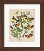 Butterfly Bouquet IV Linen Fine Art Print