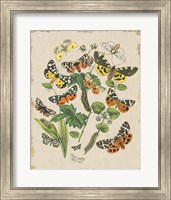 Butterfly Bouquet IV Linen Fine Art Print