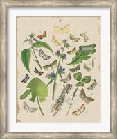 Butterfly Bouquet III Linen Fine Art Print