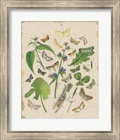 Butterfly Bouquet III Linen Fine Art Print
