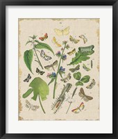 Butterfly Bouquet III Linen Framed Print
