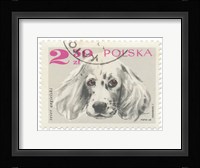 Poland Stamp IV on White Framed Print
