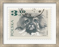 Poland Stamp III on White Fine Art Print