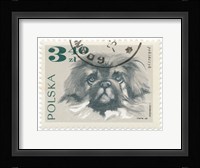 Poland Stamp III on White Framed Print