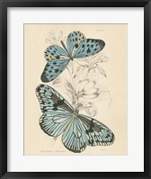 Assortment Butterflies II Fine Art Print