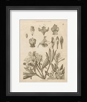 Rhododendrons Vintage Fine Art Print