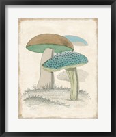 Funghi Italiani Mushrooms Framed Print