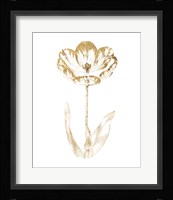 Gilded Botanical VI Framed Print