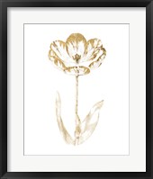 Gilded Botanical VI Framed Print