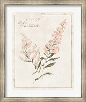 Flowers on White I with Words Fine Art Print