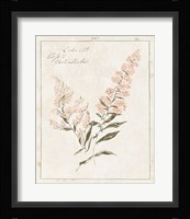 Flowers on White I with Words Framed Print
