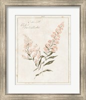 Flowers on White I with Words Fine Art Print
