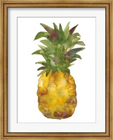 Harriets Pineapple I Fine Art Print