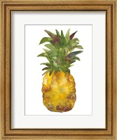 Harriets Pineapple I Fine Art Print