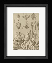 Rhododendrons Fine Art Print