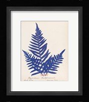 Botanical Fern XI Blue Framed Print
