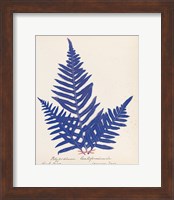 Botanical Fern XI Blue Fine Art Print