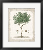 Garden Trees I - Ciste de Crete Fine Art Print