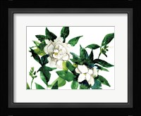 Bright Gardenias Fine Art Print