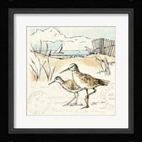 Coastal Breeze IX Fine Art Print