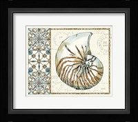 Coastal Breeze I Framed Print