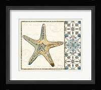 Coastal Breeze IV Framed Print