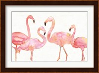 Flamingo Fever I no Splatter Fine Art Print