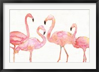 Flamingo Fever I no Splatter Fine Art Print