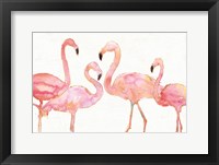 Flamingo Fever I no Splatter Fine Art Print