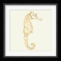 Coastal Breeze Shell Sketches II Fine Art Print