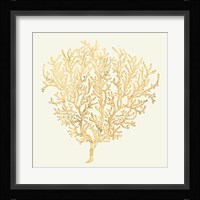 Coastal Breeze Shell Sketches I Fine Art Print