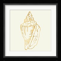 Coastal Breeze Shell Sketches III Fine Art Print