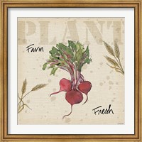 Farmers Feast IV Fine Art Print