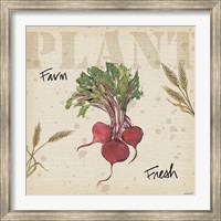 Farmers Feast IV Fine Art Print